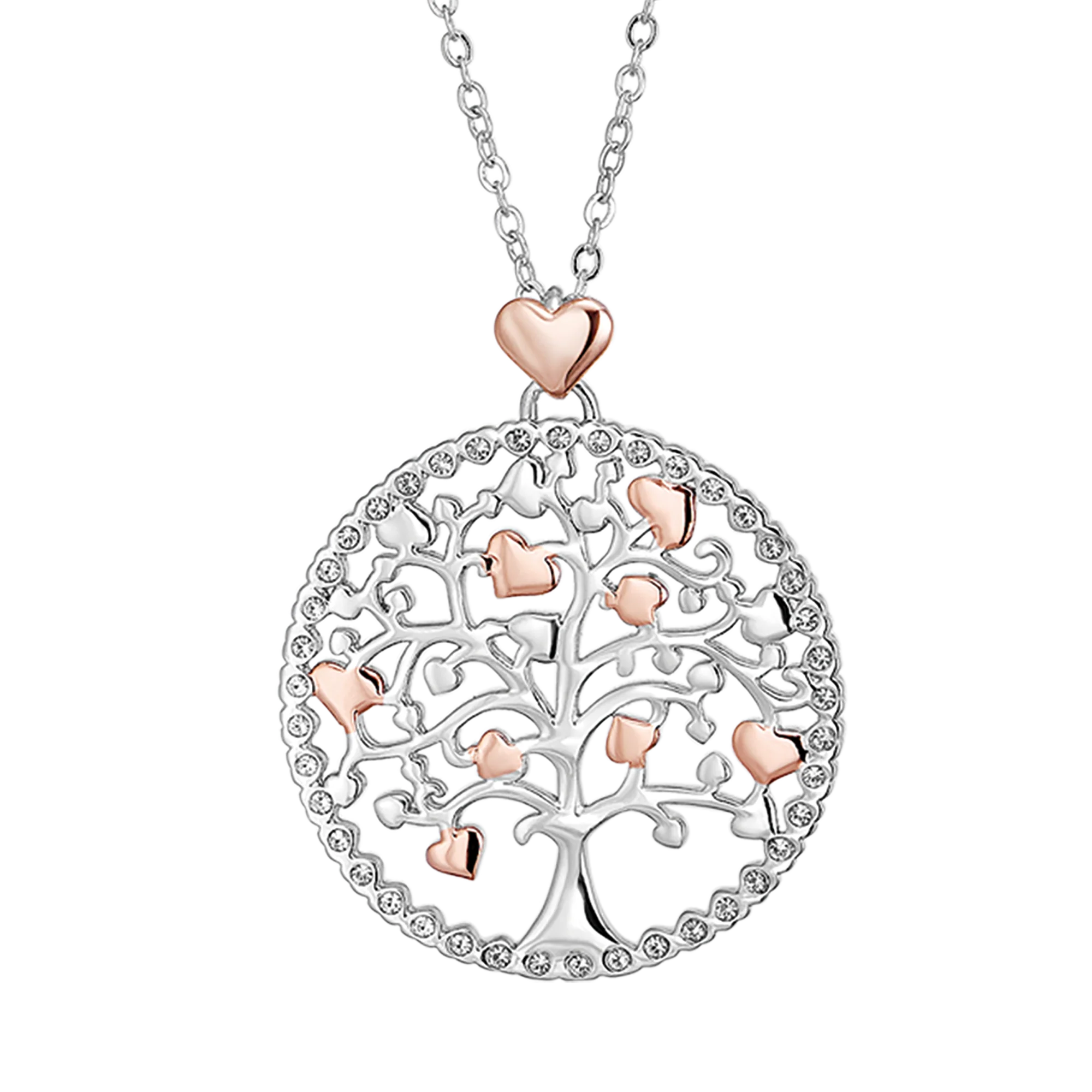 Immagine prodotto 4
