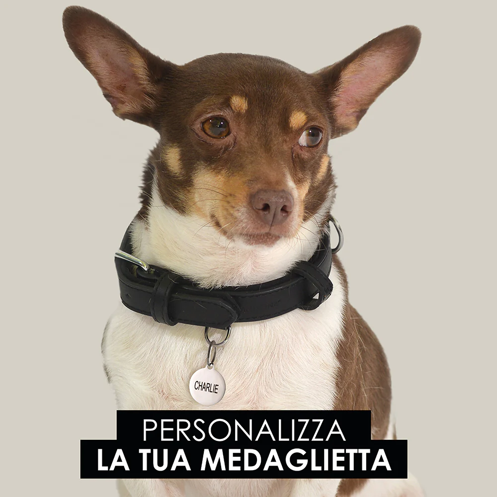 Immagine prodotto 4