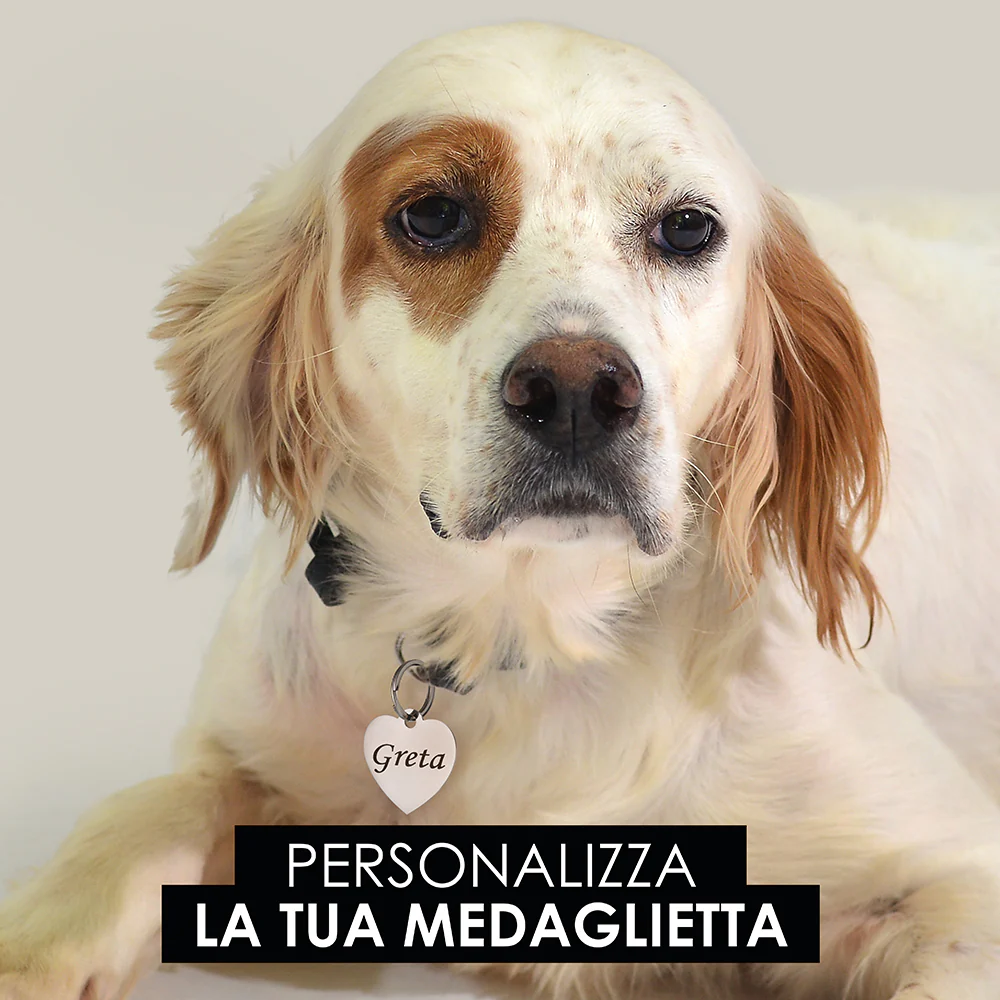 Immagine prodotto 10