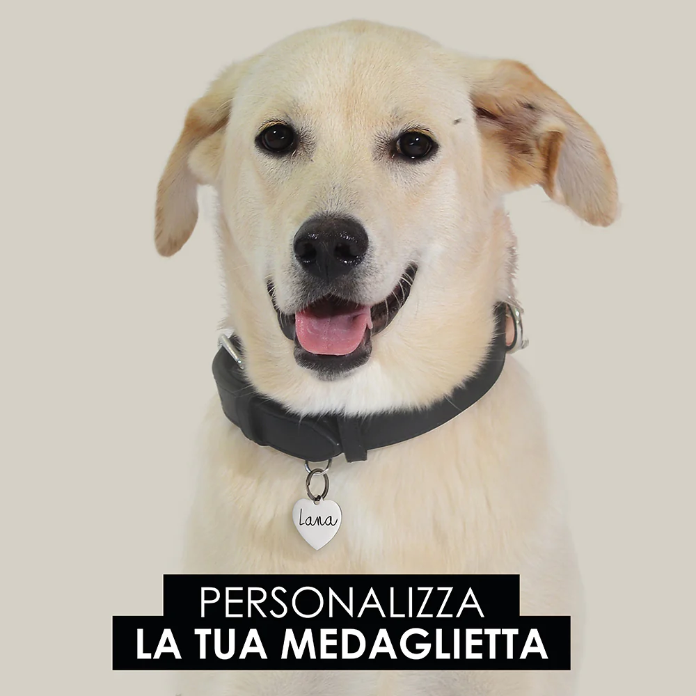 Immagine prodotto 16